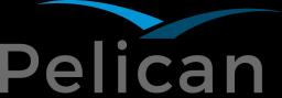 Pelican.ai