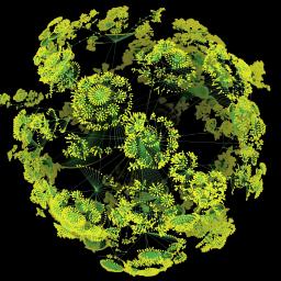 Rhizome Compliance